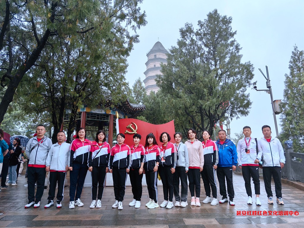 乌海市精神卫生中心党支部“传承延安精神，汲取奋进力量”党性教育专题培训2023.6.17