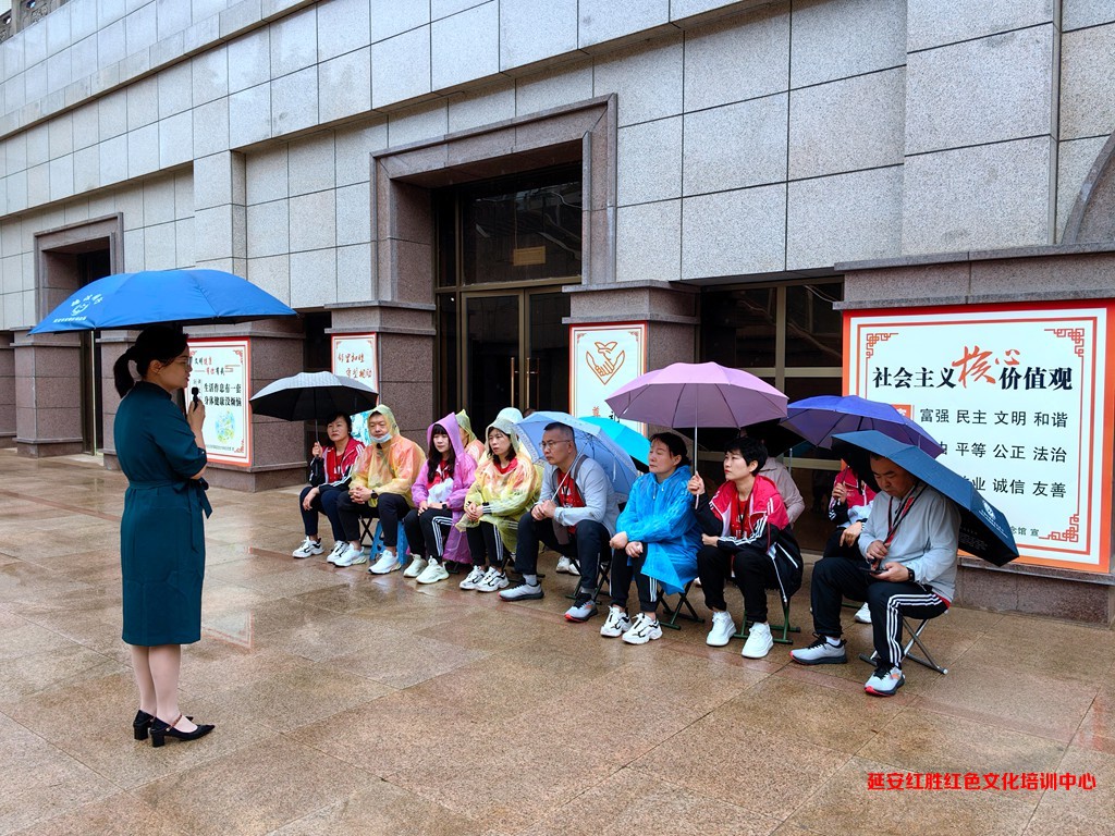 乌海市精神卫生中心党支部“传承延安精神，汲取奋进力量”党性教育专题培训2023.6.17