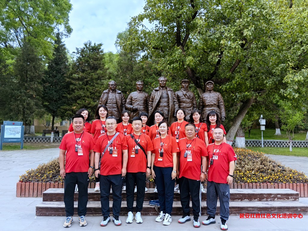 乌海市精神卫生中心党支部“传承延安精神，汲取奋进力量”党性教育专题培训2023.6.17